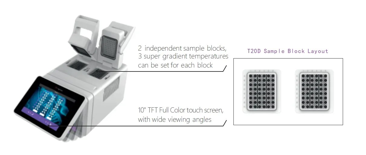 Labtex ثنائي الكتل سوبر التدرج Pcr محلل آلة اختبار الحمض النووي المعدات الطبية مختبر نظام Pcr