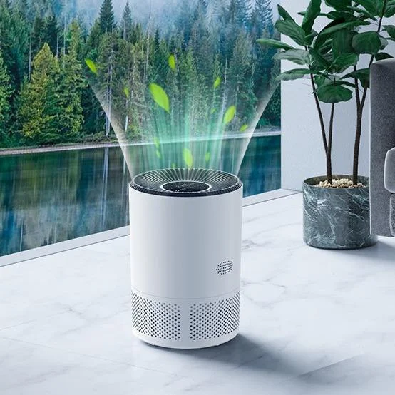 Home Air Purifier with HEPA Filter