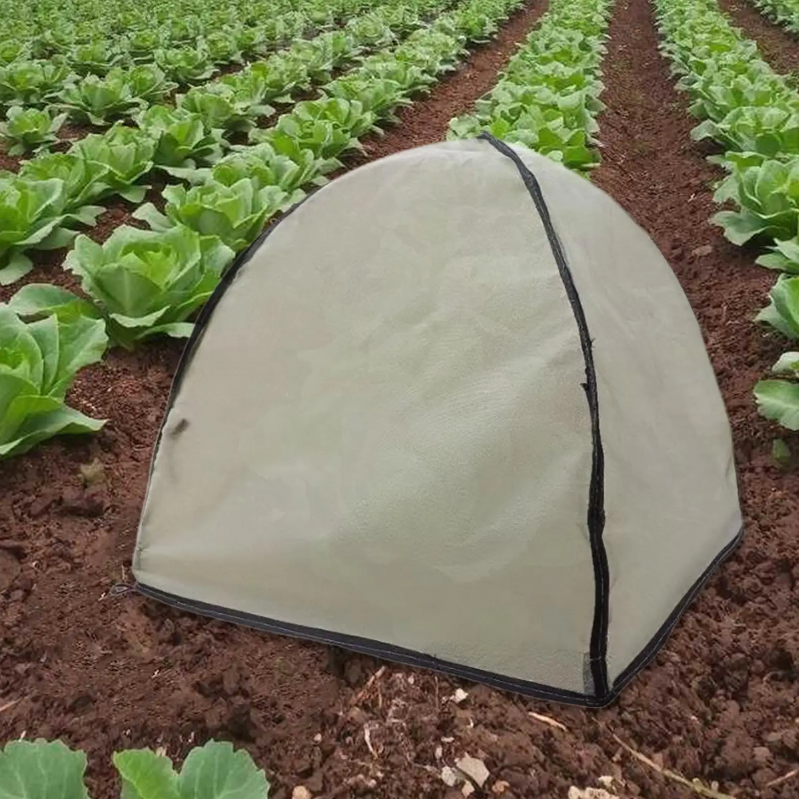 

Plant Shade Tent Winter Pop-Up Freeze Protection Tent For Plant Windproof Gardening Outdoor Protector For Freeze Prevention Sun