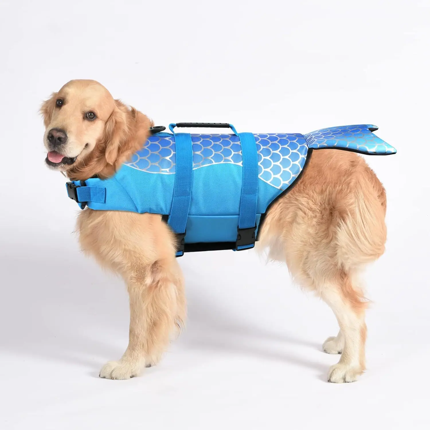 European and American cross-border e-commerce dog life jacket floating clothes Amazon popular large and small dog swimsuit pet s