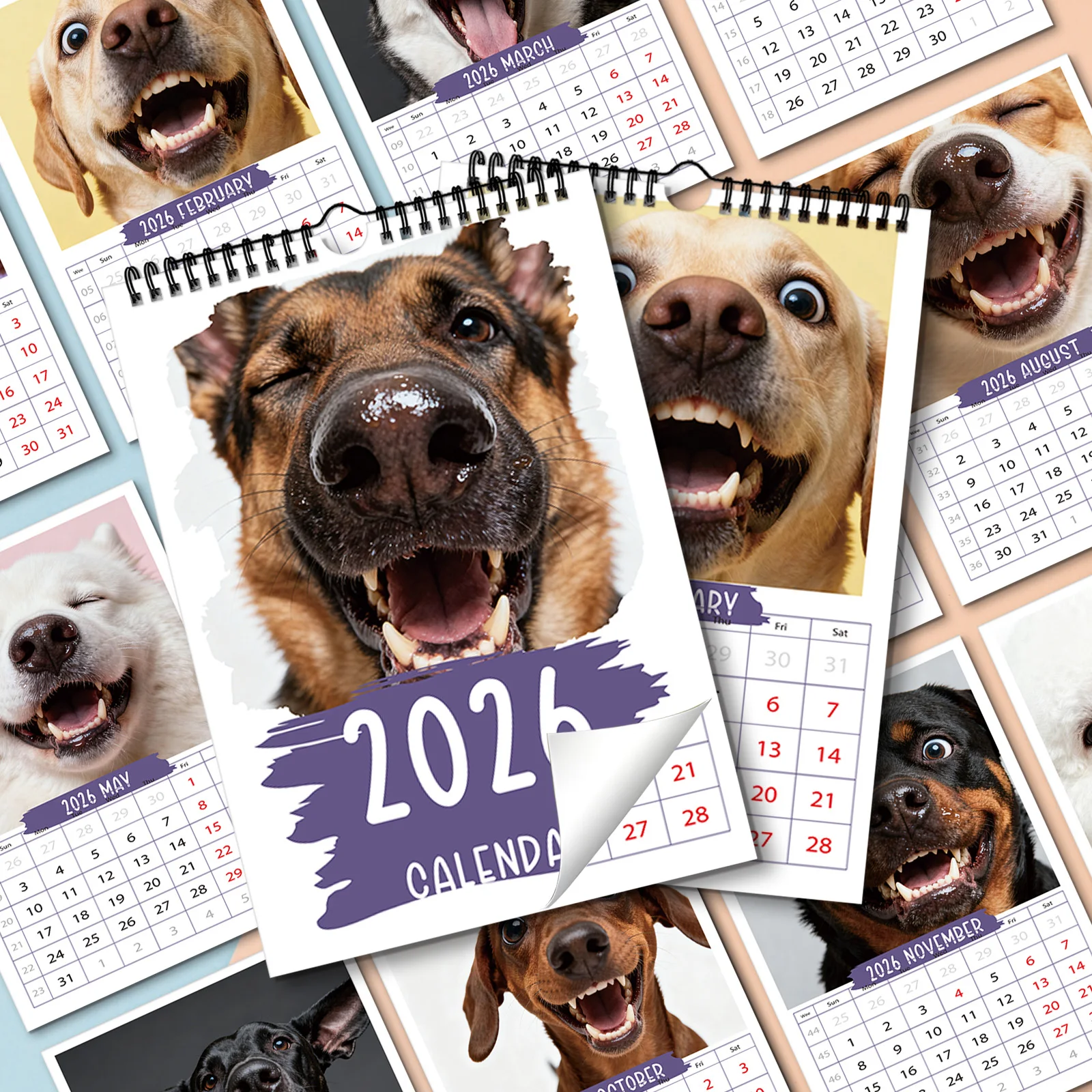 

1PC Cheerful Mixed-breed Dog Calendar,Fit for Bedroom and Office Space Decoration,Perfect for Dog Enthusiasts and Pet Aficionado