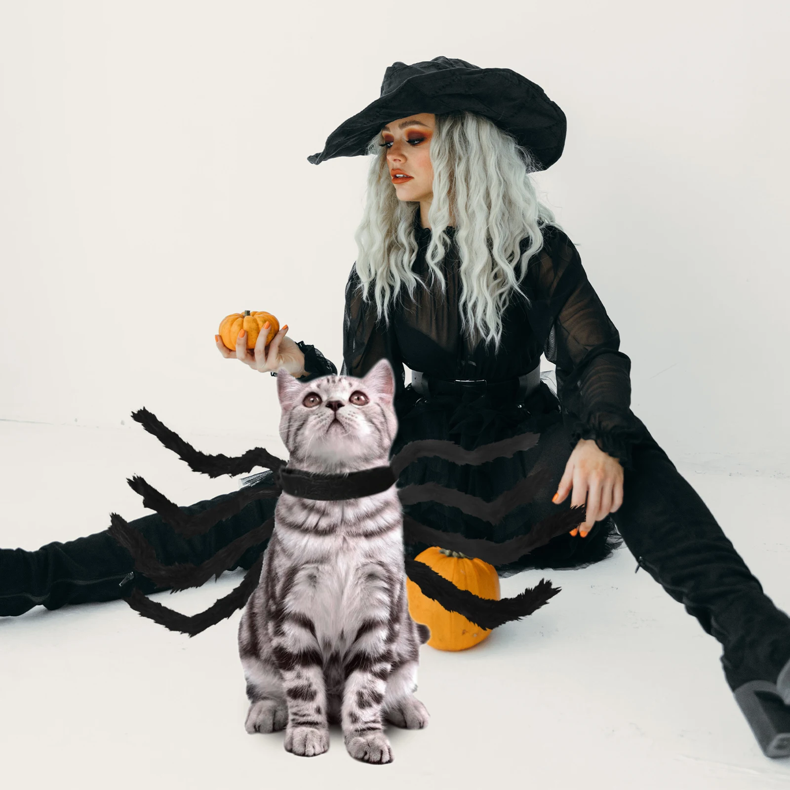 

Funny Halloween Dog Cat Creative Spider , Clothing Outfit Halloween Carnival Party Pet Supplies Costume For Small Pets