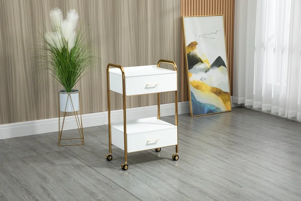 Salon Trolley,Luxury Golden Stainless Steel Foldable Modern Hairdressing Storage Cart Beauty Tool Trolley For Workshop & Bedroom