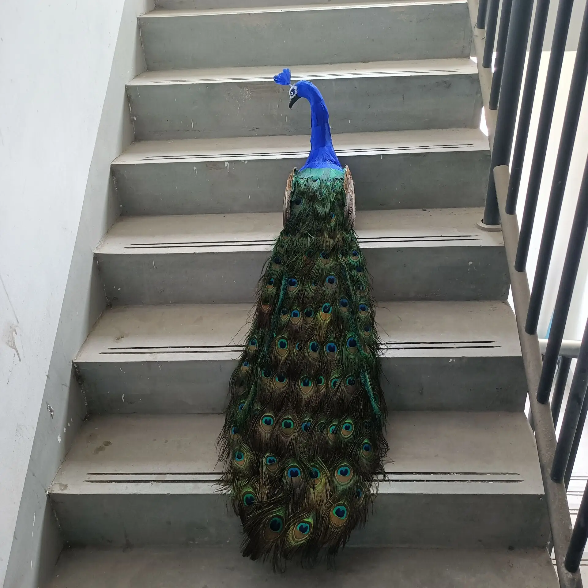 

big simulation foam&feather colorful long tail peacock model garden decoration gift about 120cm p2684