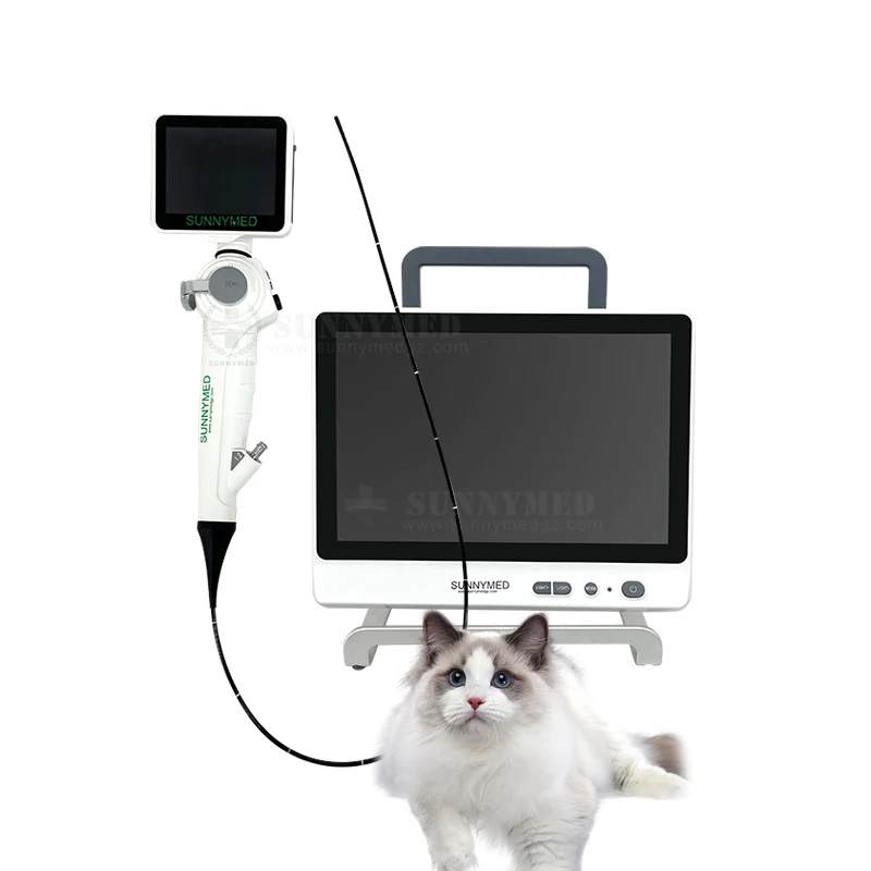 

SY-P029-3 Veterinary video endoscope accessories Uroscope choledochoscope Animal diagnostic instrument