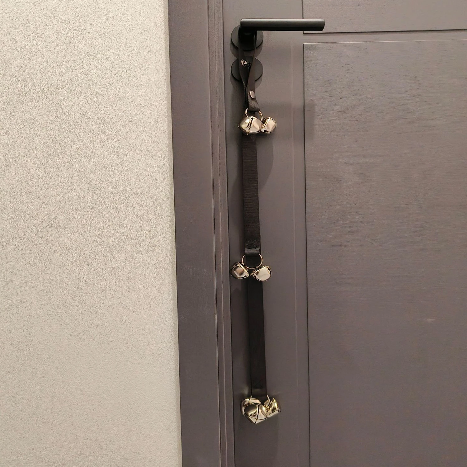 Thumbnail 4 - #15 Highest Rated Dog Clickers to Buy in 2026