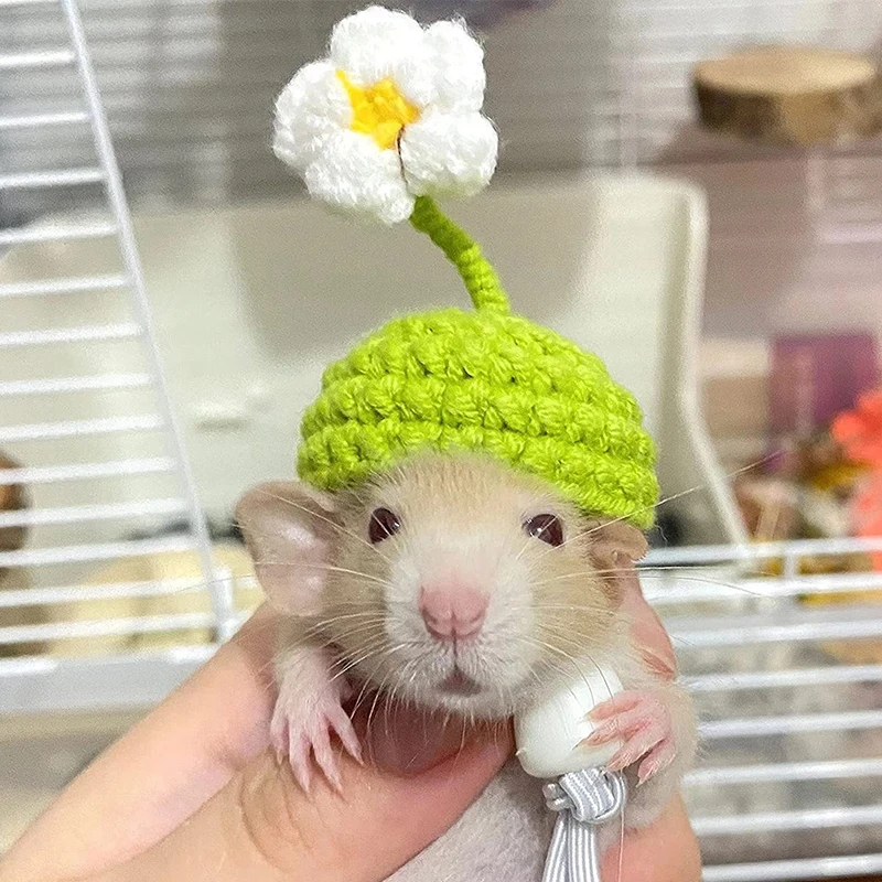 Cute Pet Knitted Mini Hat Small Animal Clothing Accessories For Hedgehog Hamsters Hat DIY Hand-Knitted Pet Headdress