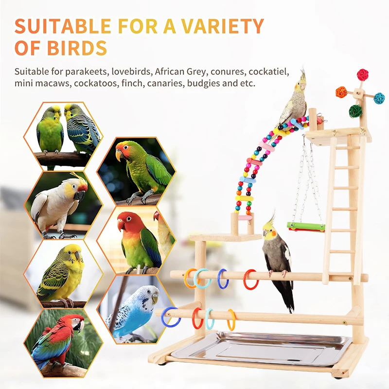 High Quality Pet Parrot Playstand With Ladder Parrots Bird Playground Stand Wood Perch Gym Playpen Bird Toy