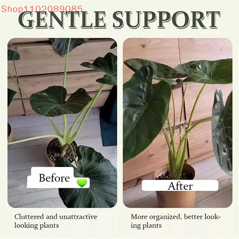 Clear Monstera Plant Stem Support; Reusable and Durable Potted Plant Stand