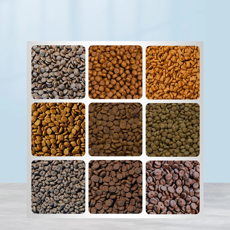 Customized Pet Food Processing Machinery Wet Pet Food Extruder Price New Condition for Dog Cat Food Processing Lines