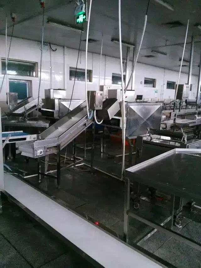 해산물 가공 공장 생선 배꼽 및 등 세척 기계 생선 절단 및 세척 기계 해상 운송