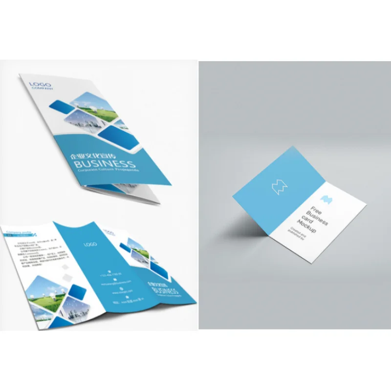 

custom 1000pcs a lot A4 flyer printing Folding Paper Flyer Leaflet Catalogue Design Offset Film Lamination Shoes Catalogue Ca