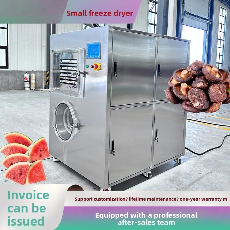 Machine de lyophilisation sous vide pour fruits de mer, supplément de beauté, équipement pour soupe Tremella, palourde de taille de porc