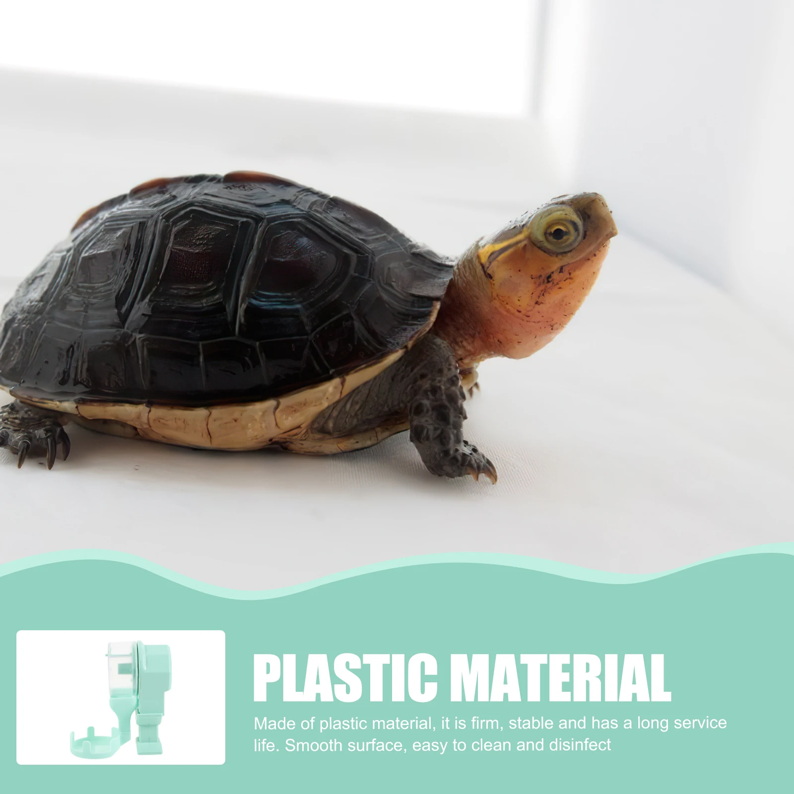

Automatic Portable Pet Feeding Accessories Plastic Sturdy Easy Clean Transparent Feed Container For Geckos Lizards Tortoises