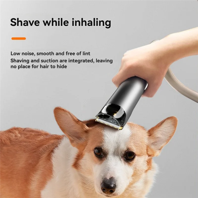 Abrg-Vacuum Pet Gro… - image