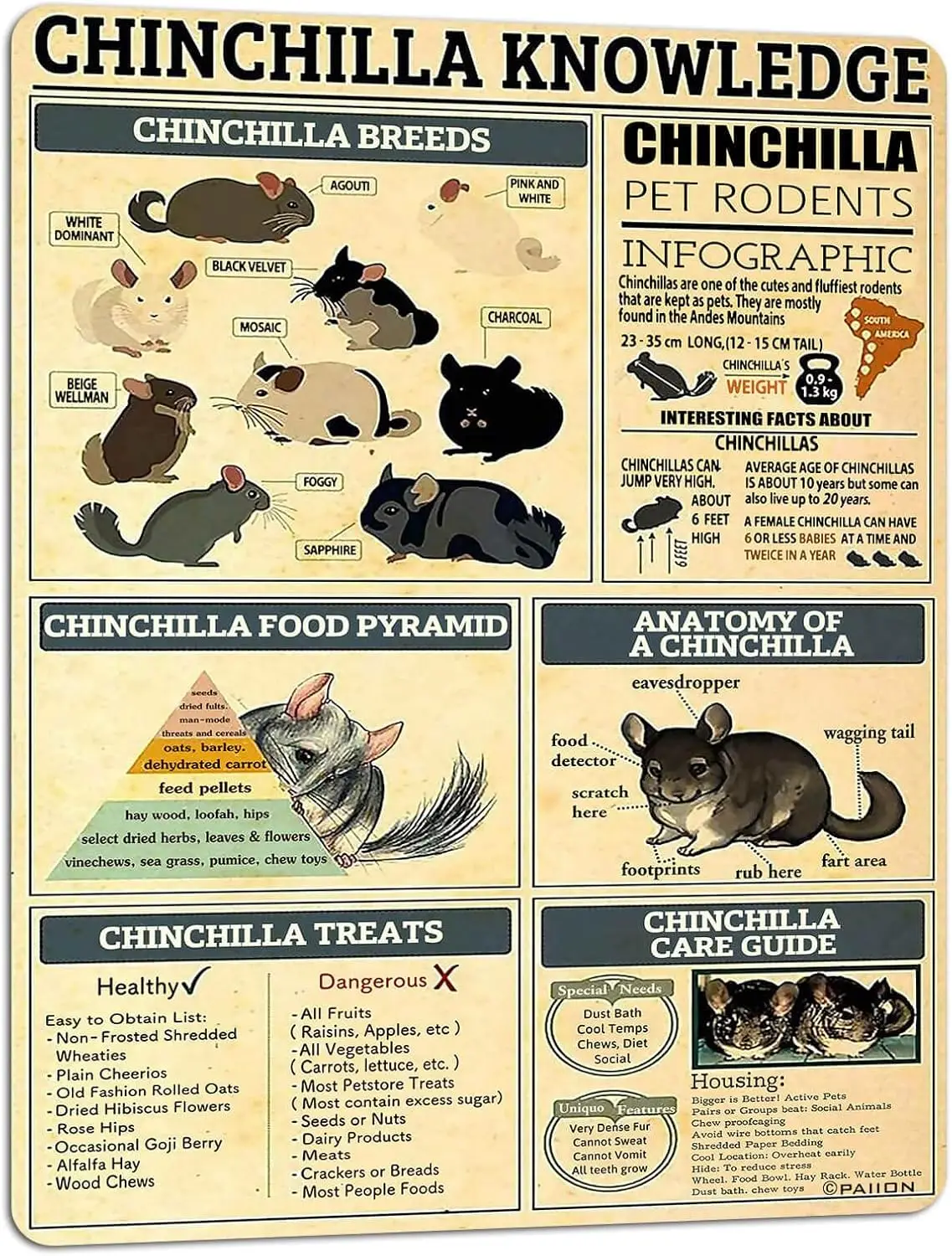 PAIION Chinchilla Knowledge Posters Science Guide Metal Signs Retro Room Club Farm Wall Decor -aluminum sign
