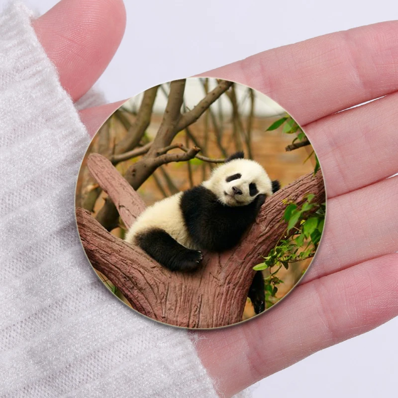 32/44/58mm Cute Pandas XiangXiang FuBao NuanNuan Round Brooch Cartoon Badge for Backpack Hat Jewelry Accessories Gifts