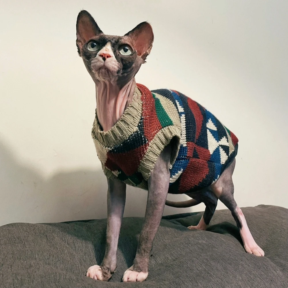 Christmas Knitted Coat for A Cat Spring Loungewear for Sphynx Cat Winter Classic British Sweater Vest Holiday Cat Supplies