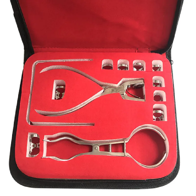 

SKYLUN Dental Rubber Dam Punch Kit Perforator Puncher Teeth Care Pliers Dental Lab Device Instrument Equipment SL727