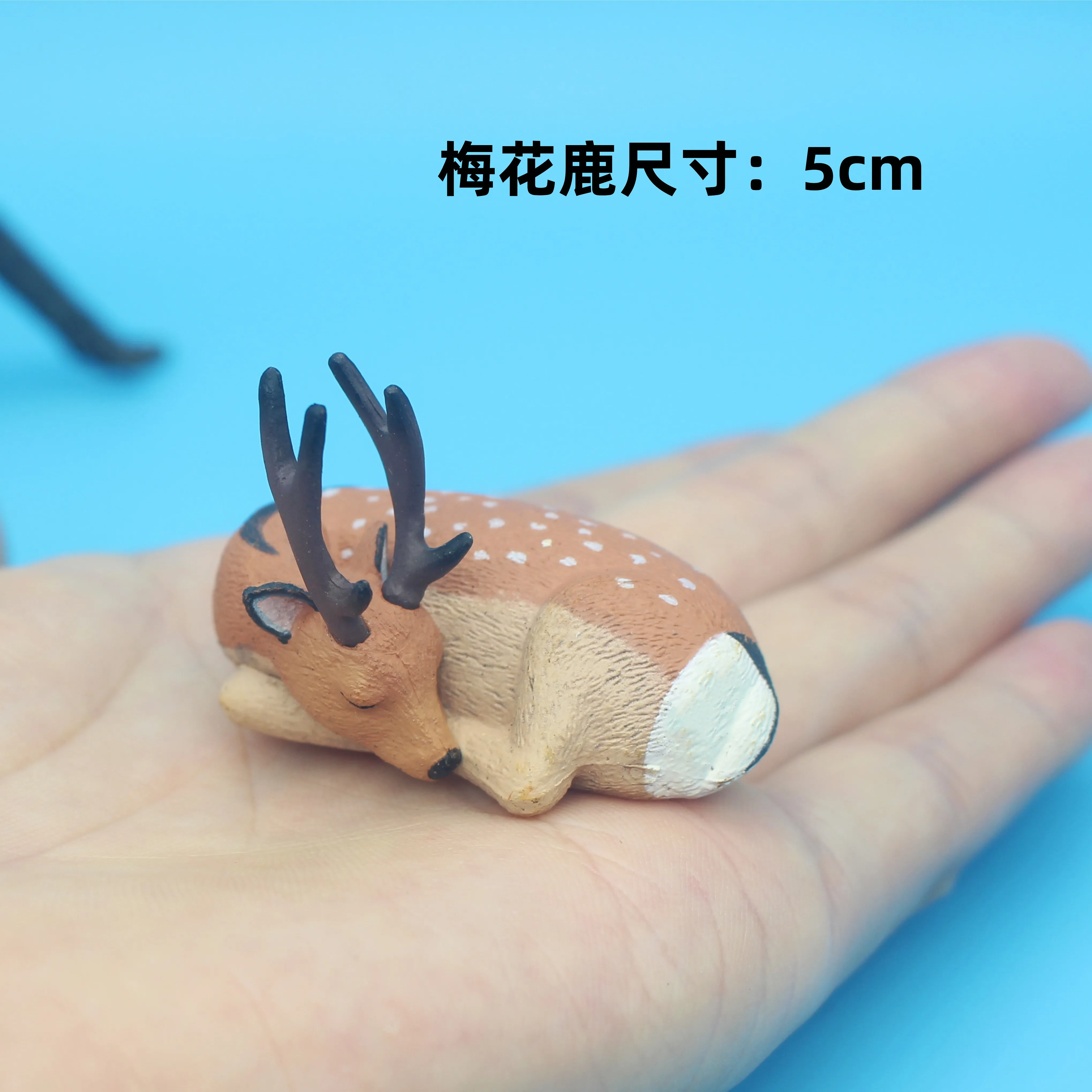 

Simulated animals, mini trumpet scenes, miniature lizards, birds, sika deer, landscaping, decorative ornaments, toys