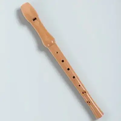 Wood Soprano Record… - image