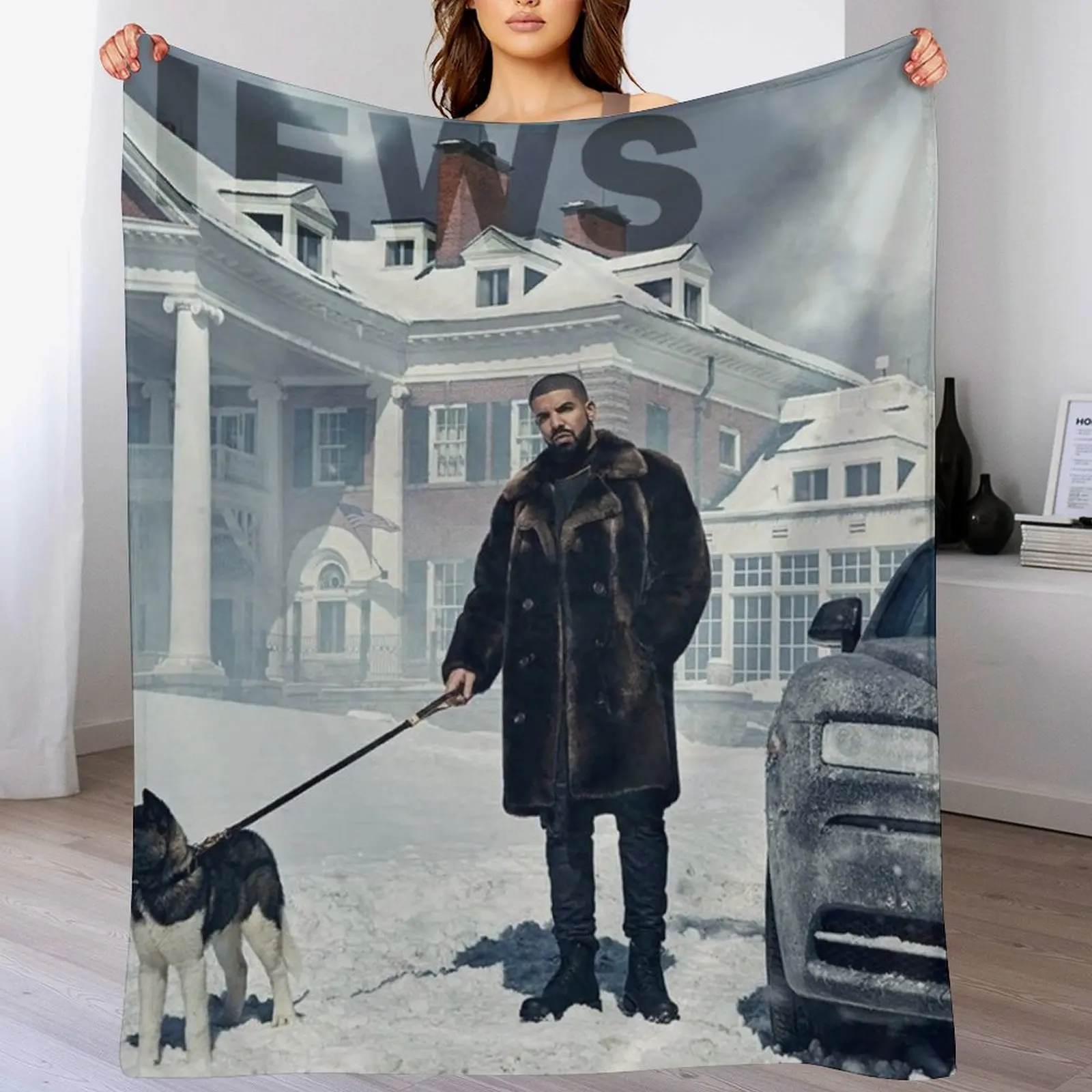 

Drake with Dog Views Tapestry Throw Blanket Hairy Luxury Brand Soft Comforter Blankets