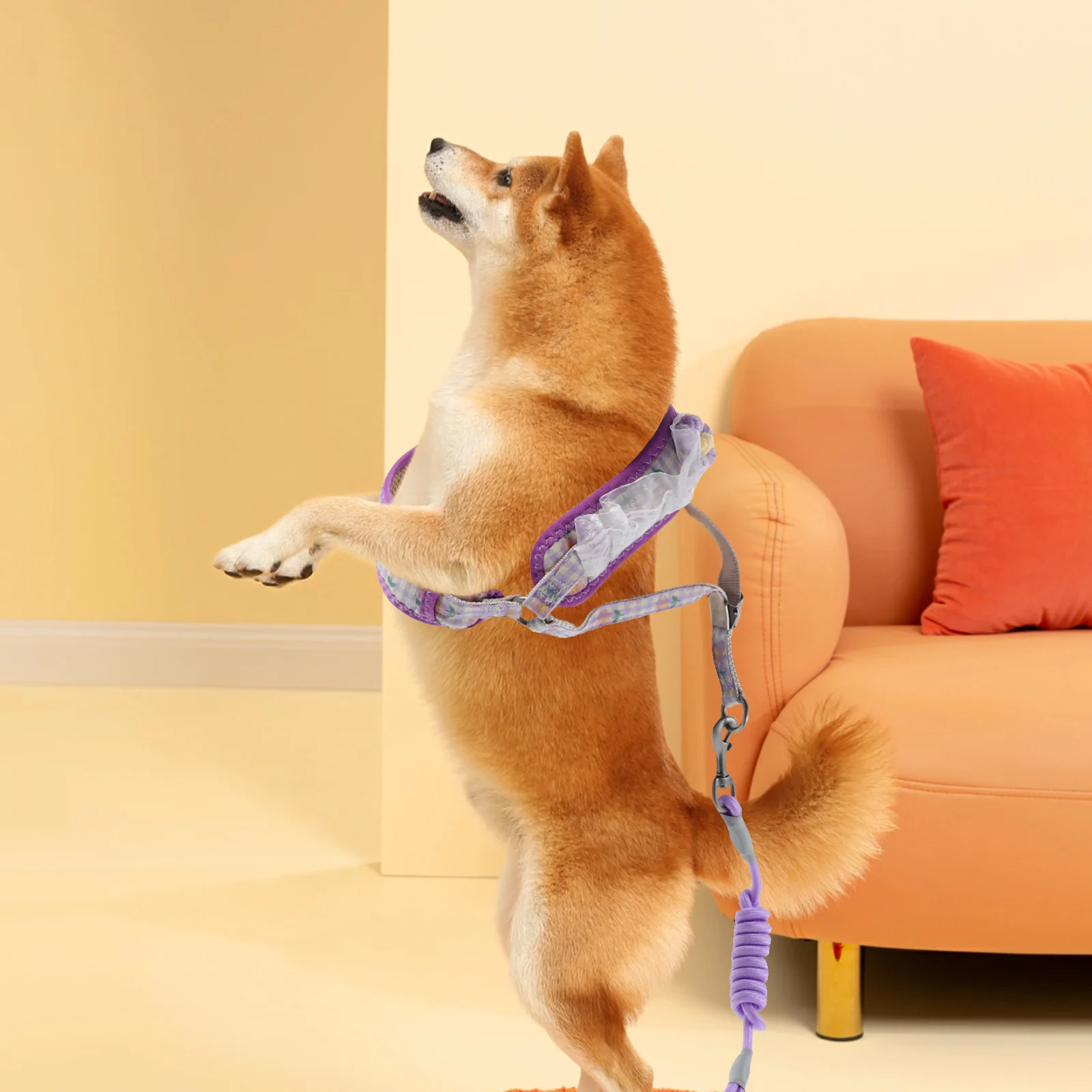 

Dog Leash Set Adjustable Nylon Pet Traction For Small Medium Dogs Cats Walking Training Puppy Kitten Outdoor Pet Walking