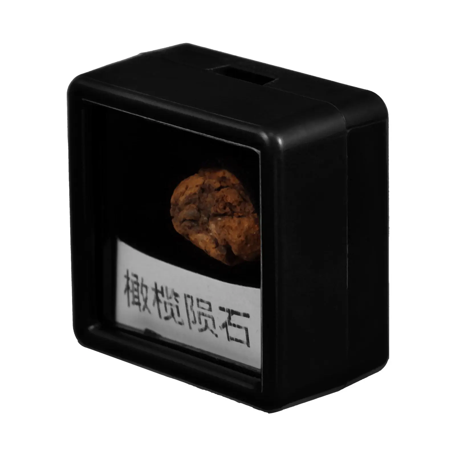 Olive Meteorite Specimen Small Natural Meteorite Stone for Students Learning Space Science Teacher Gift Home Office Study Room