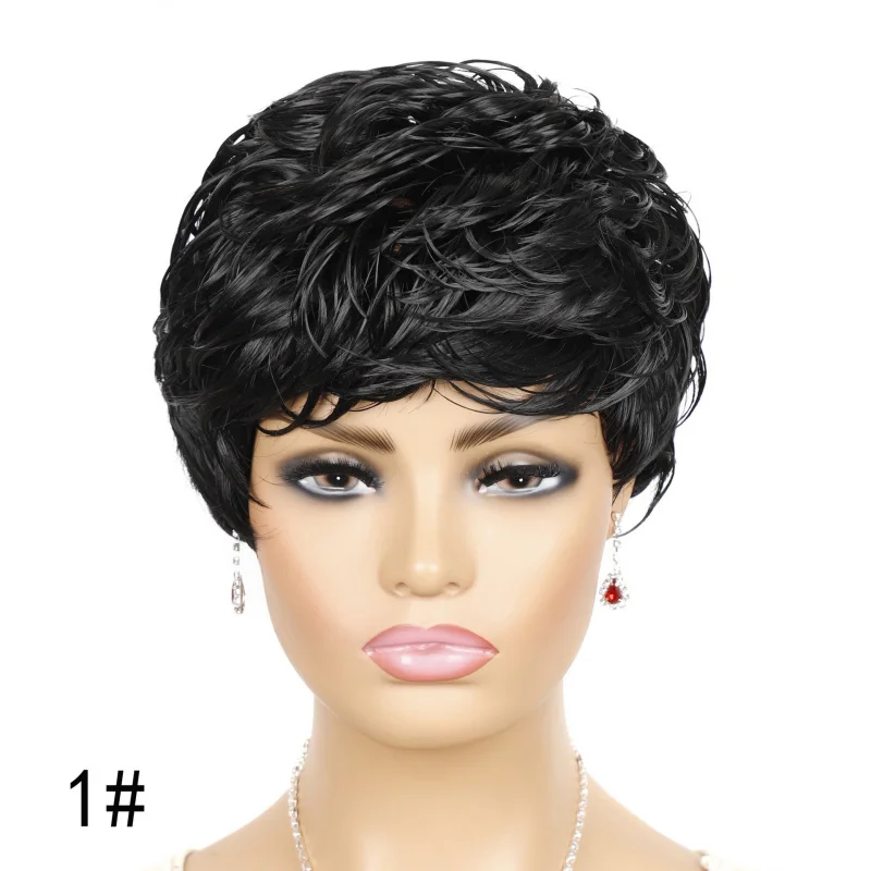 

Women's : European and American Fashion Fluffy Short Curly Black Dyed Wig