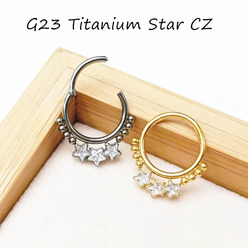 

10pcs/Lot G23 Titanium Nose Seamless Hinged Segment Ring Septum Clicker Ear Cartilage Helix Tragus Rook Hoop Star CZ 16Gx8/10mm