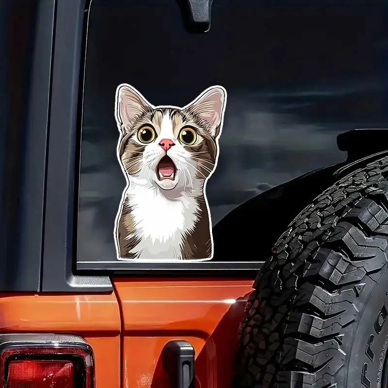 

Surprised Cat Car Sticker Vinyl Decal Waterproof Rear Window Motorcycle Camper Bumper Truck Laptop Decoration SH1623