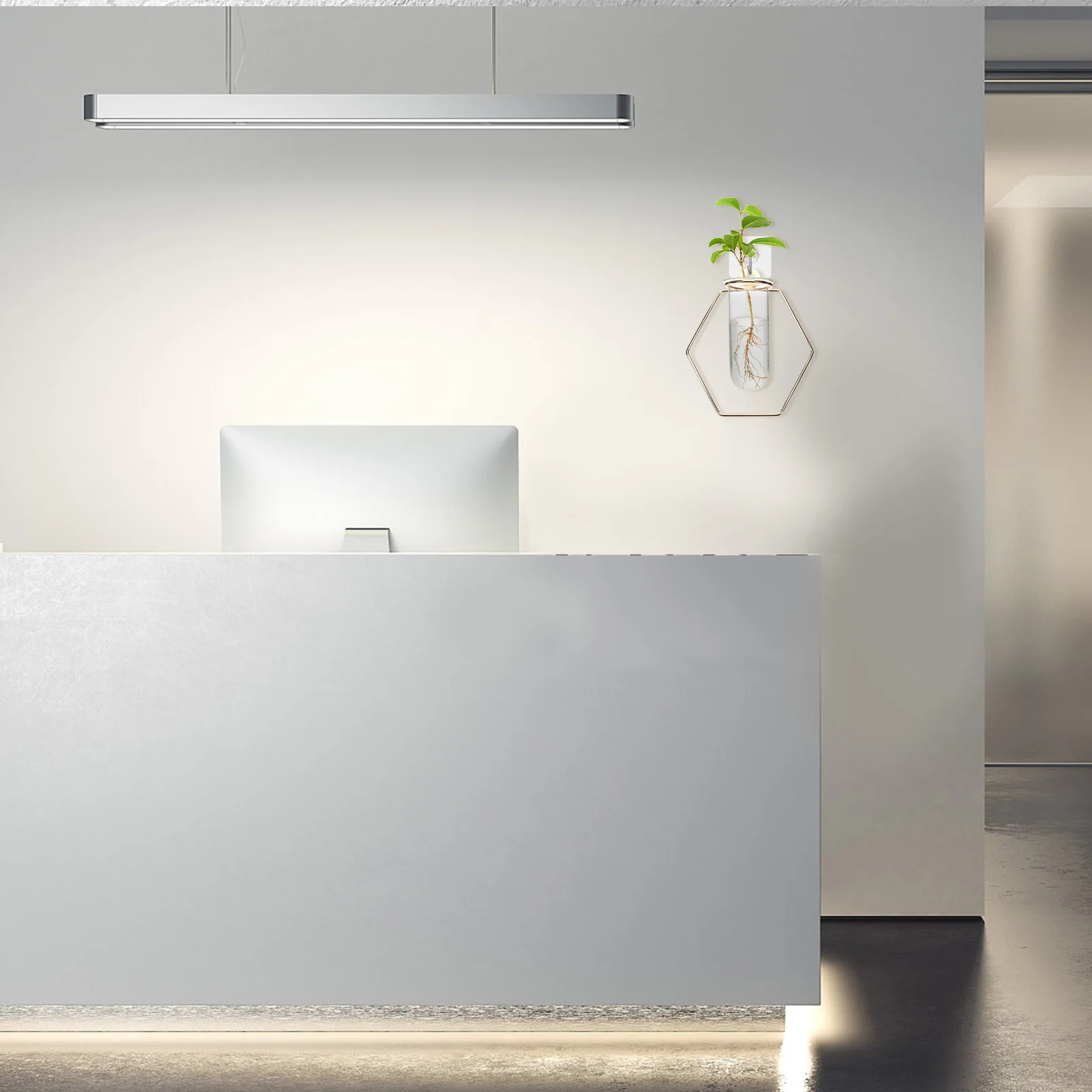 

Wall Flower Vase Decorative Glass Propagation Station Hydroponic Vase for Indoor Plant Decoration Home Balcony