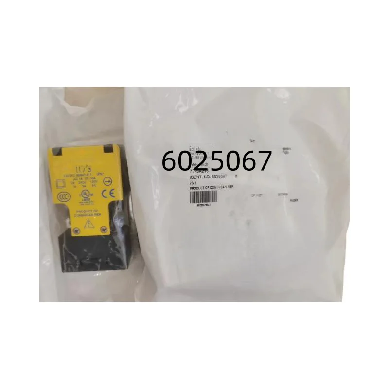 New Original Safety Switch    6025067 I17-SA213