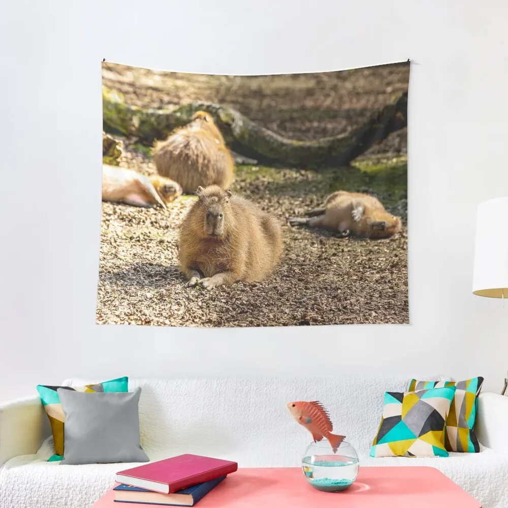 

Capybara taking the Sun Tapestry Bedroom Decoration Decorative Paintings Tapestry