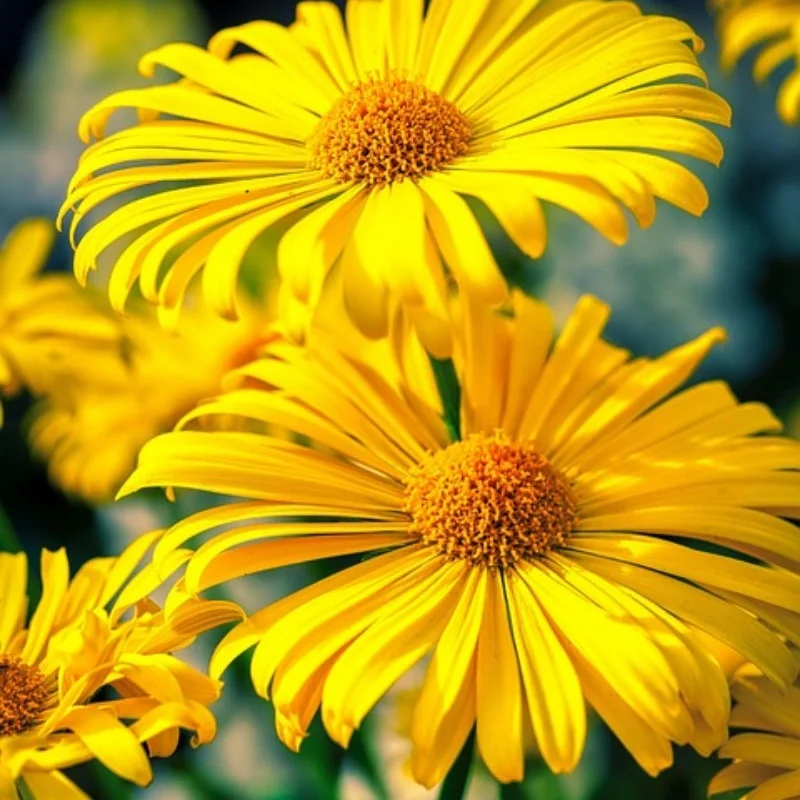 

4 шт., металлическая ступица обода колеса 1,9 для 1/10 Trxs Hsp Redcat Rc4wd Tamiya Axial SCX10 D90 HPI, запасная часть для радиоуправляемого автомобиля