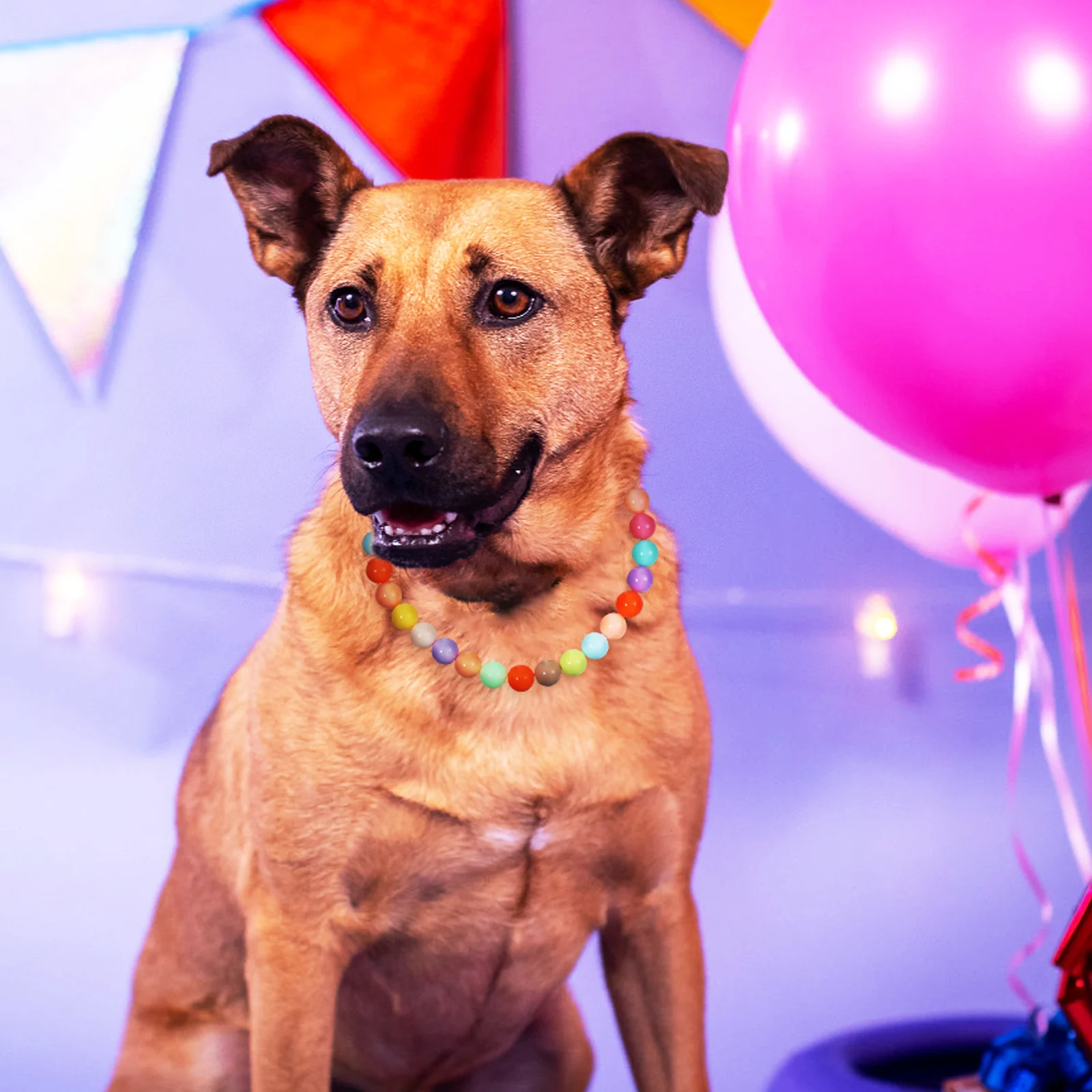 

Adjustable Candy Color Dog Necklace Collar Cute Beaded Pet Jewelry for Weddings Parties Puppies Cat Accessories