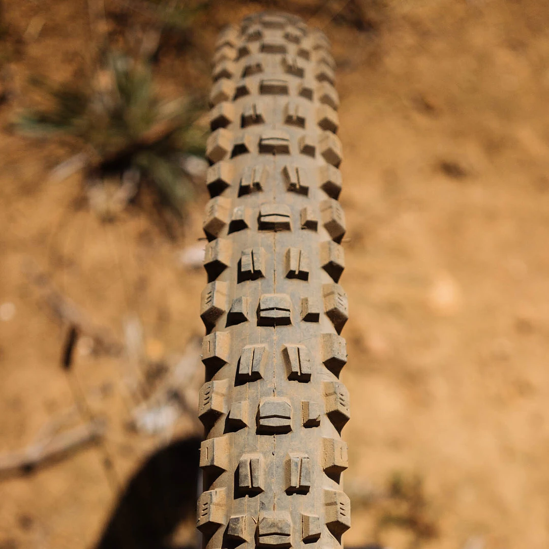 إطار دراجة جبلية ماكسيس أسيجاي سميك للمنحدرات، ذو حبيبات كبيرة، مضاد للانزلاق، سريع الانحدار، 3CG