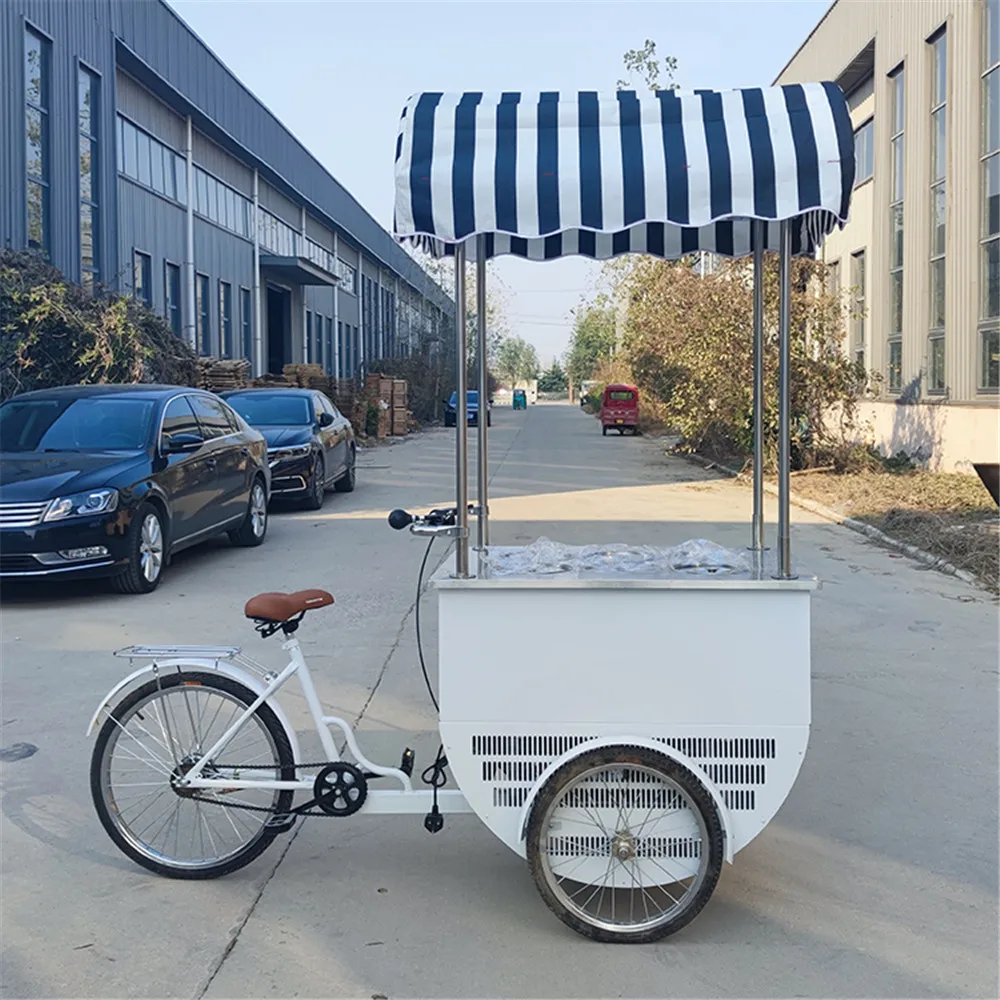 Italian Cold Plate Ice Cream Bike Ice Slush  Vending Tricycle 3 Wheel Fried Ice Cream Roll Cargo Bike