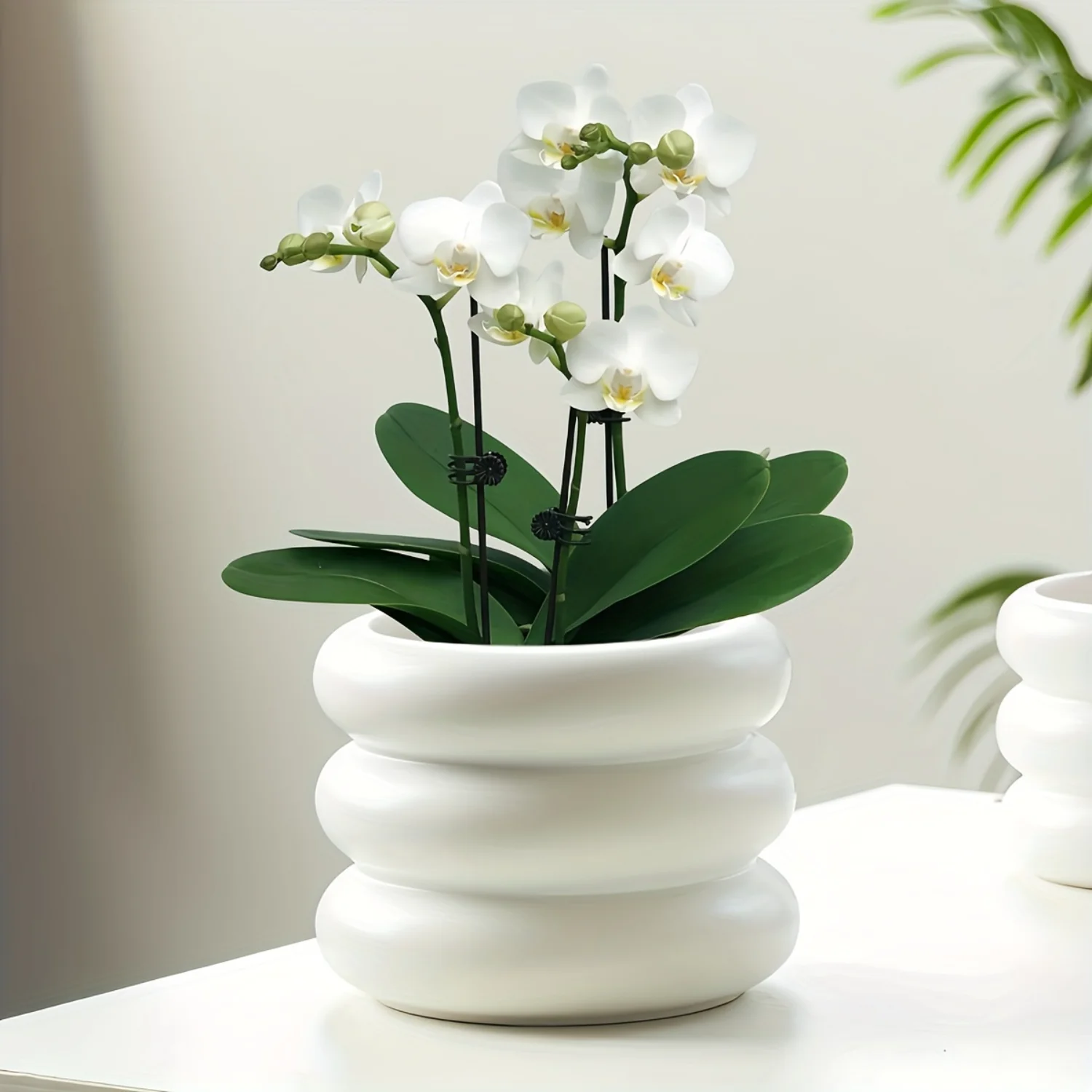 1pc, White Ceramic Pot, Pot, Succulent Plant Pot, Cactus Pot, Planter Container With Drainage Hole