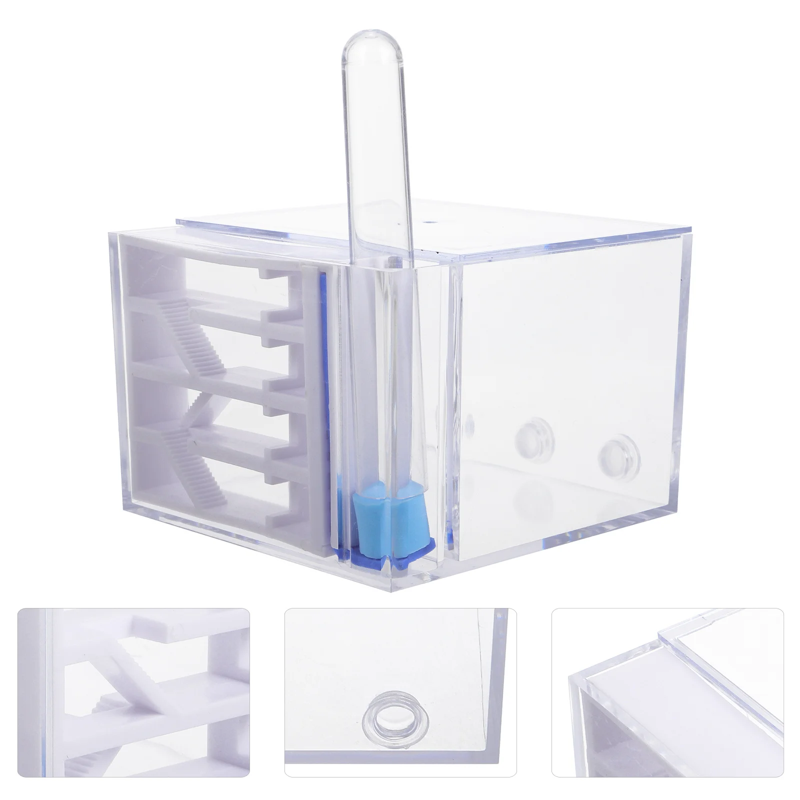 

Ants Castle and Tunnel Acrylic Nest Live Ants Colony Educational Science Learning Observation Kit Science Kit for Boys and Girls