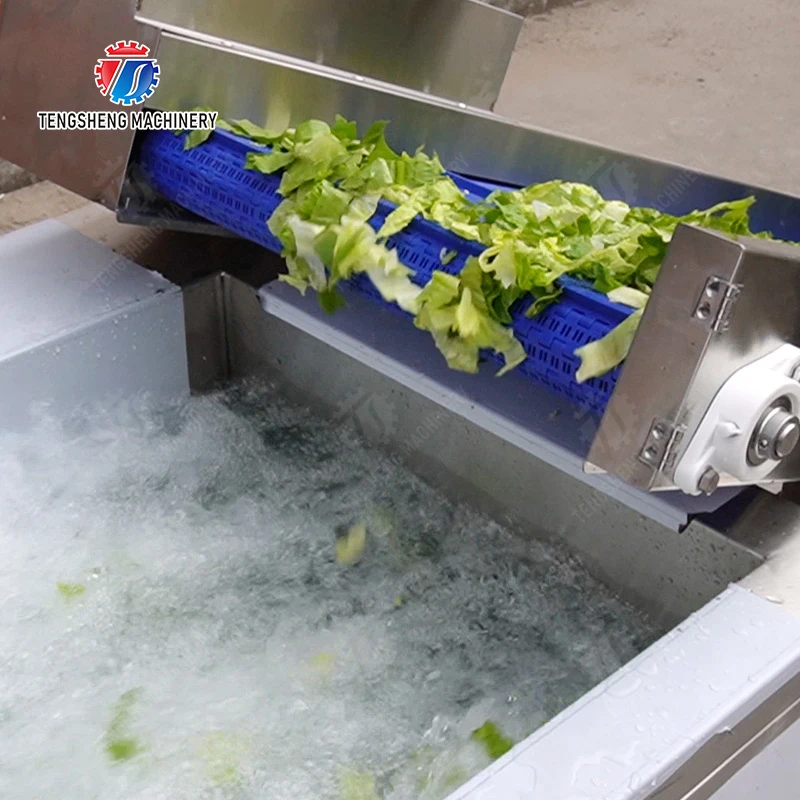 آلة مصعد الفاكهة للبيع بالجملة والتفاح الطازج والموز والبرتقال والعنب التعامل مع بناء متين من الفولاذ المقاوم للصدأ #4