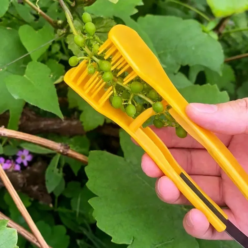 Grape Pruning Tool Fruit Thinning Comb Vineyard Harvest Tool Handheld Grape Cluster Trimmer for Garden Farming Blueberry Pruners