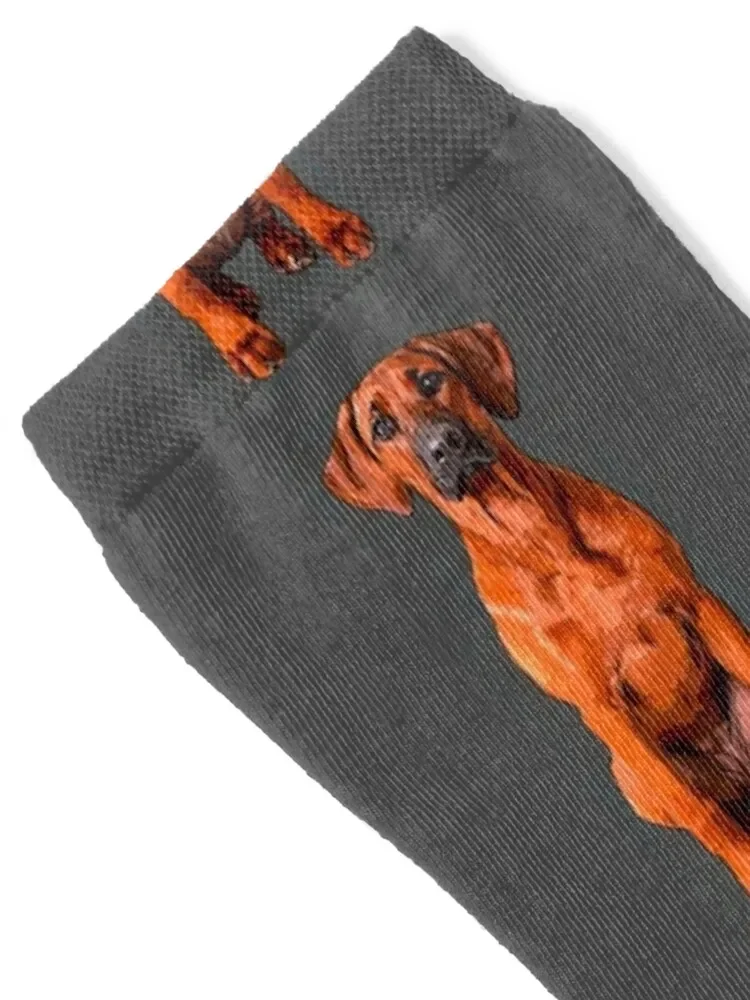 Ridgeback Lion Dog Socks golf winter thermal happy fashionable Socks For Women Men's