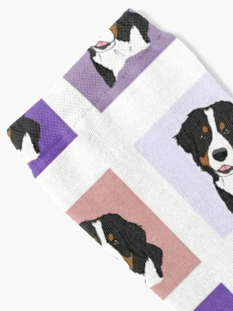 Bernese Mt. Dog: Purple Socks custom sports Stockings cycling Women's Socks Men's