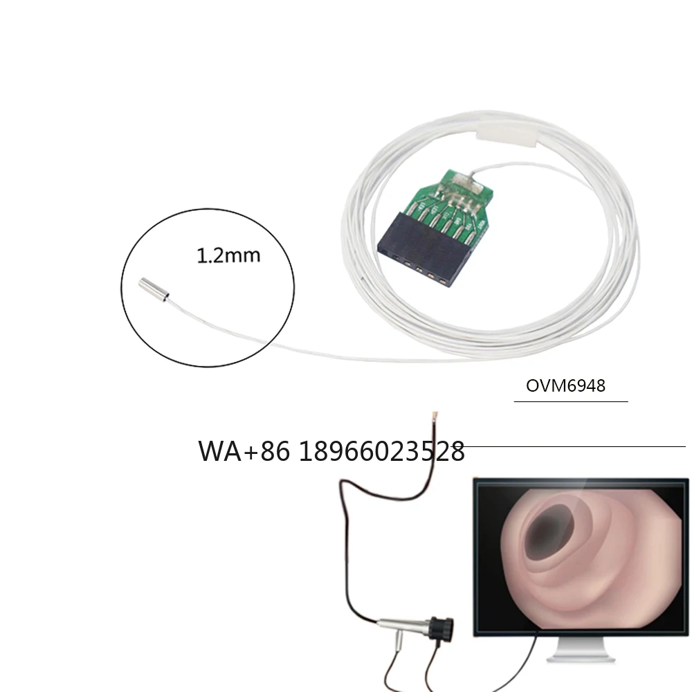 

OVM 6948 ERCP Spyglass Professional 200*200 Endoscopy