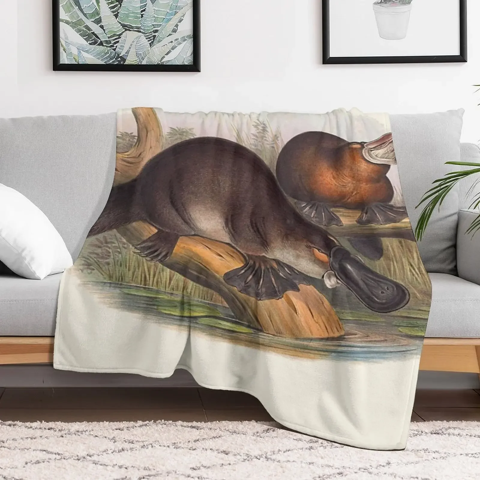 Animals Of Australia The Duck Billed Platypus Throw Blanket Moving Sofa Quilt Soft Big Beautifuls Blankets