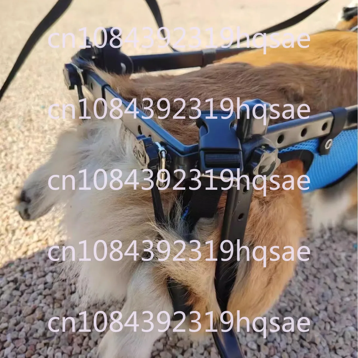 Rehabilitation Training Dog Wheelchair, Medium To Large Dogs, Hind Limb Assistance, Disability Mobility Aid, Pet Walker Trolley