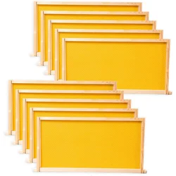 10 Pack Beehive Frames and  Foundations for Deep Brood Bee Hives with Wooden Bee Hive Frames and  Foundation sheets (Yellow)