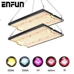 240Watt Led Grow Light Greenhouse Quantum Seeds To Plants Lm301b Lamp Flowers Indoor Full Spectrum