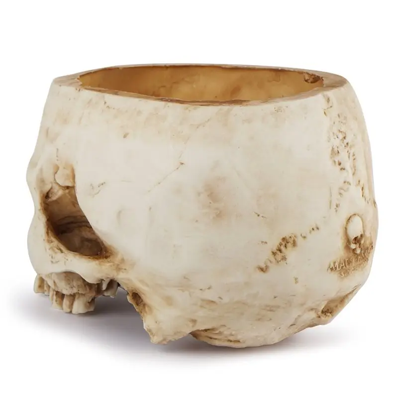 Fresh Resin Skull Shaped Flower Pot Candy 1 Pc With Drain Hole, Skull Planter For Home Office Desk, Gothic Style Decoration